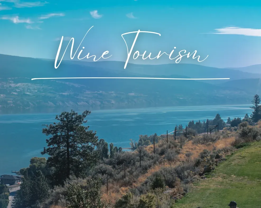 Wine tourism graphic