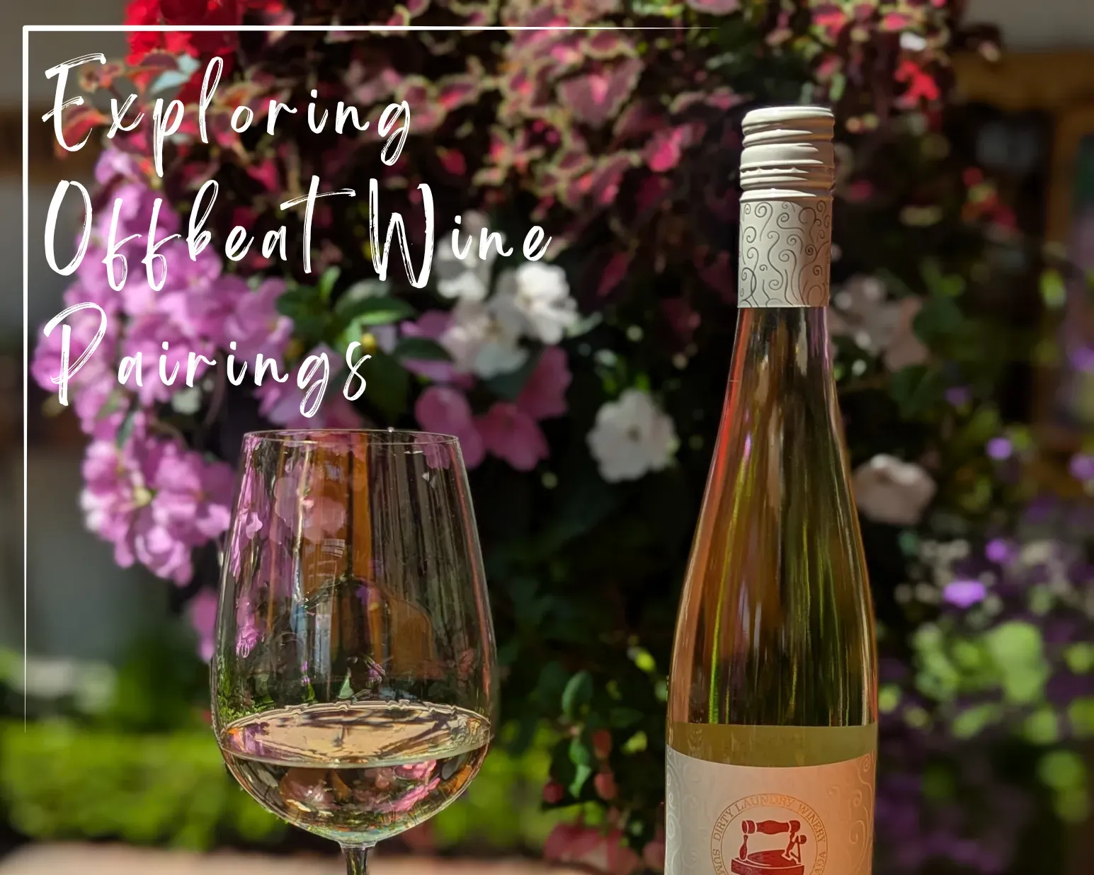 Exploring Offbeat Wine Pairings graphic