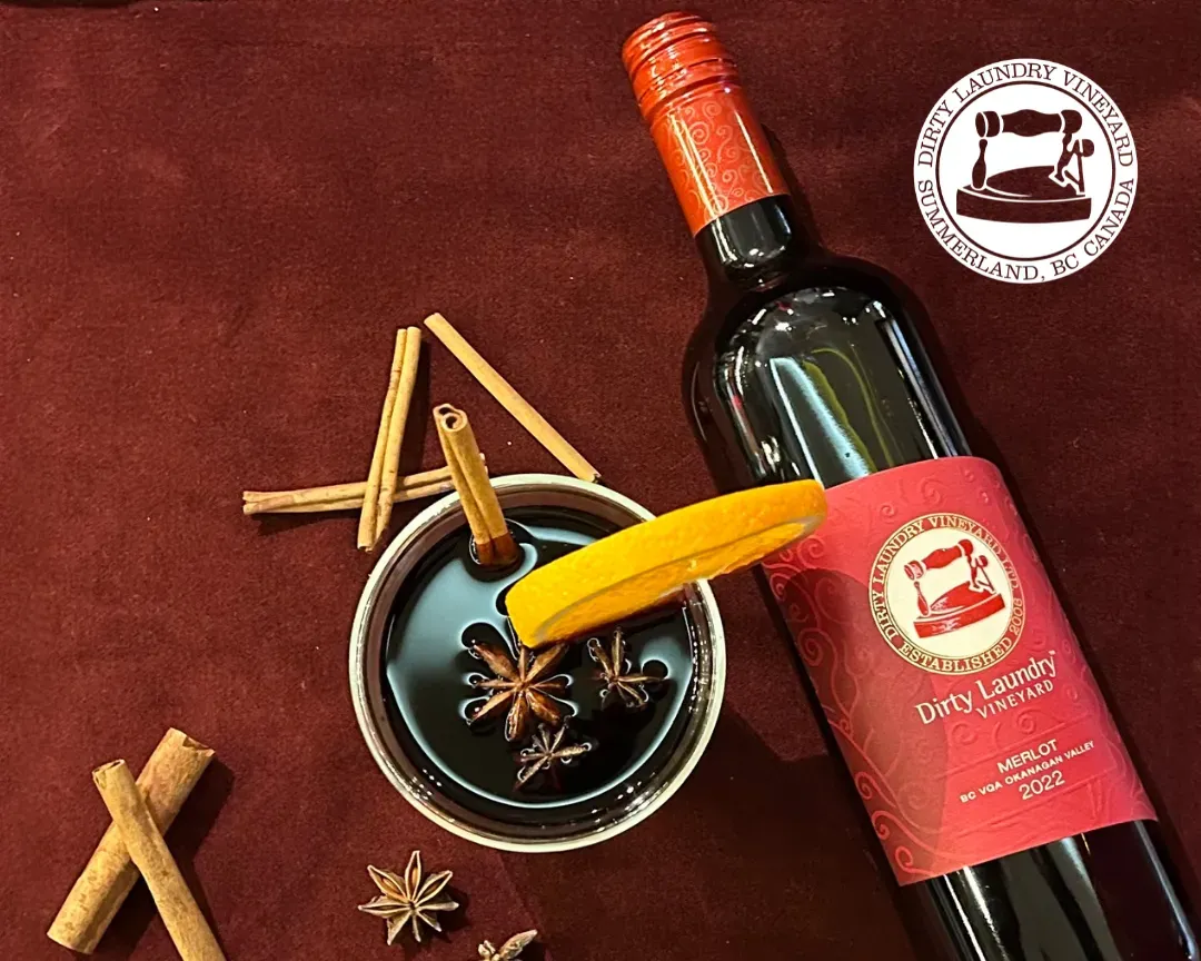 Your guide to mullled wine graphic