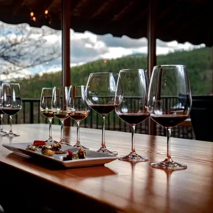 Wine and food tasting at Dirty Laundry winery