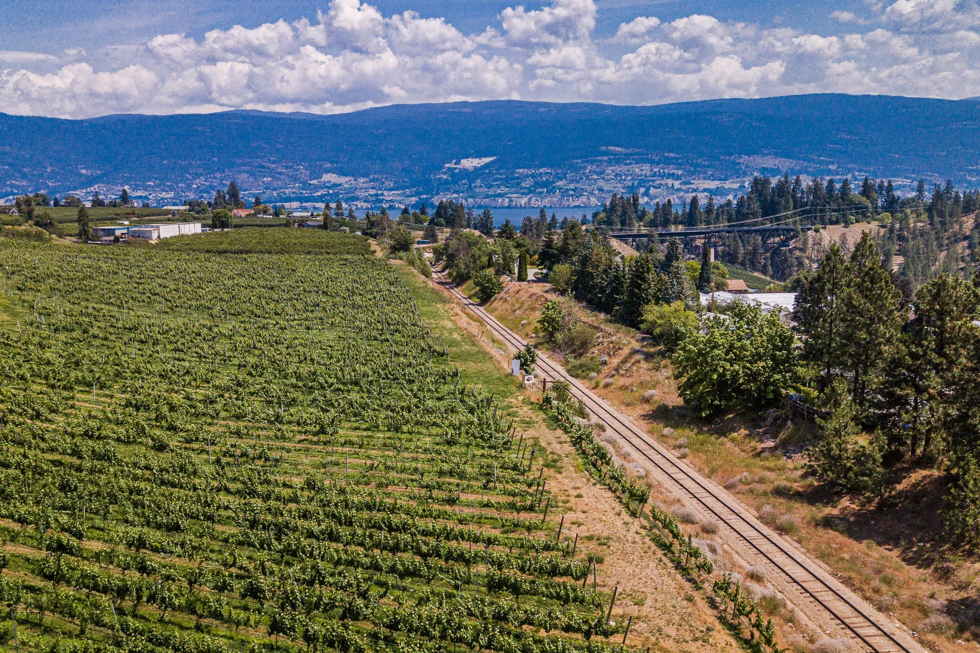 Dirty Laundry Vineyard