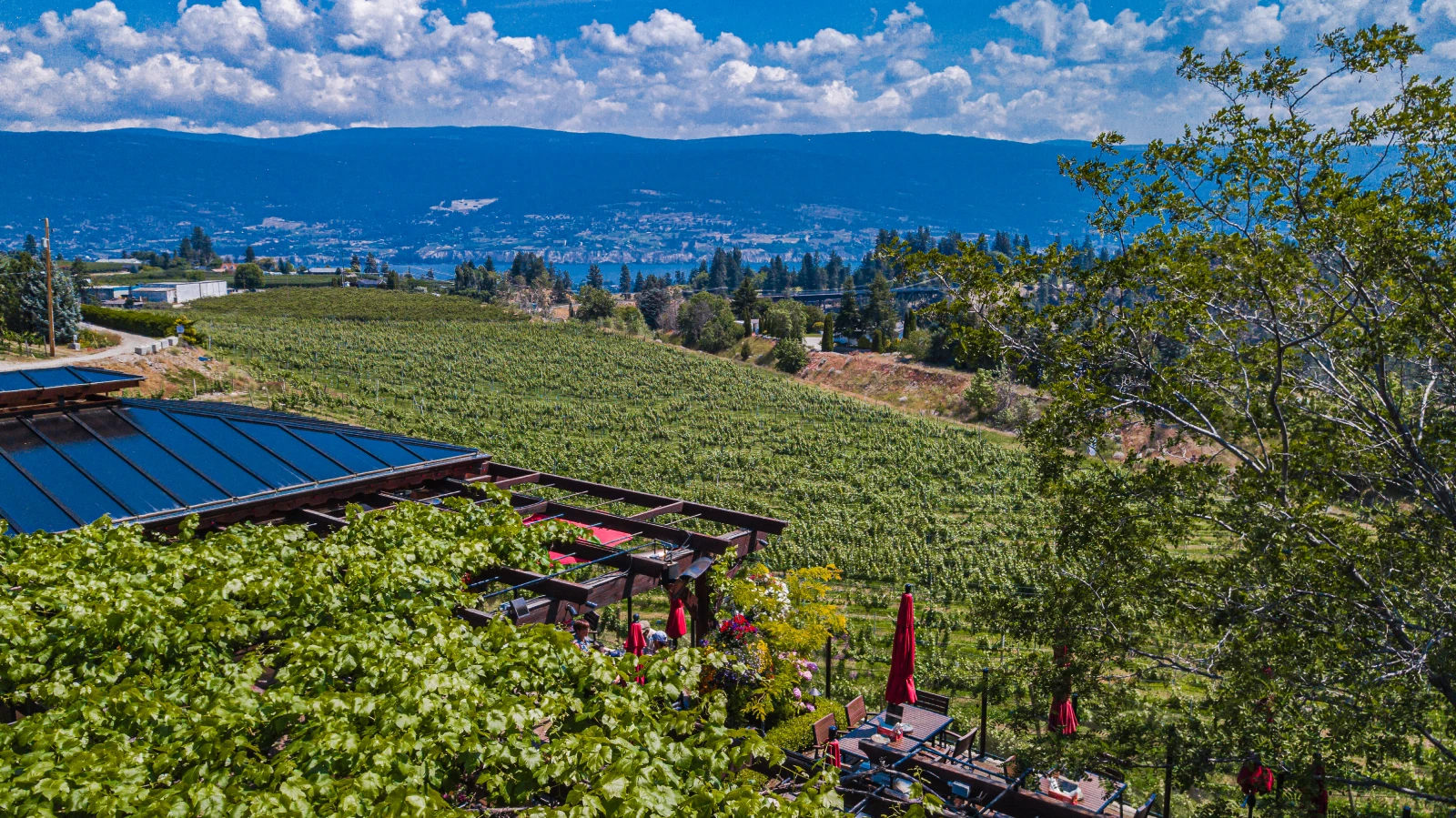 The view over the valley from the winery
