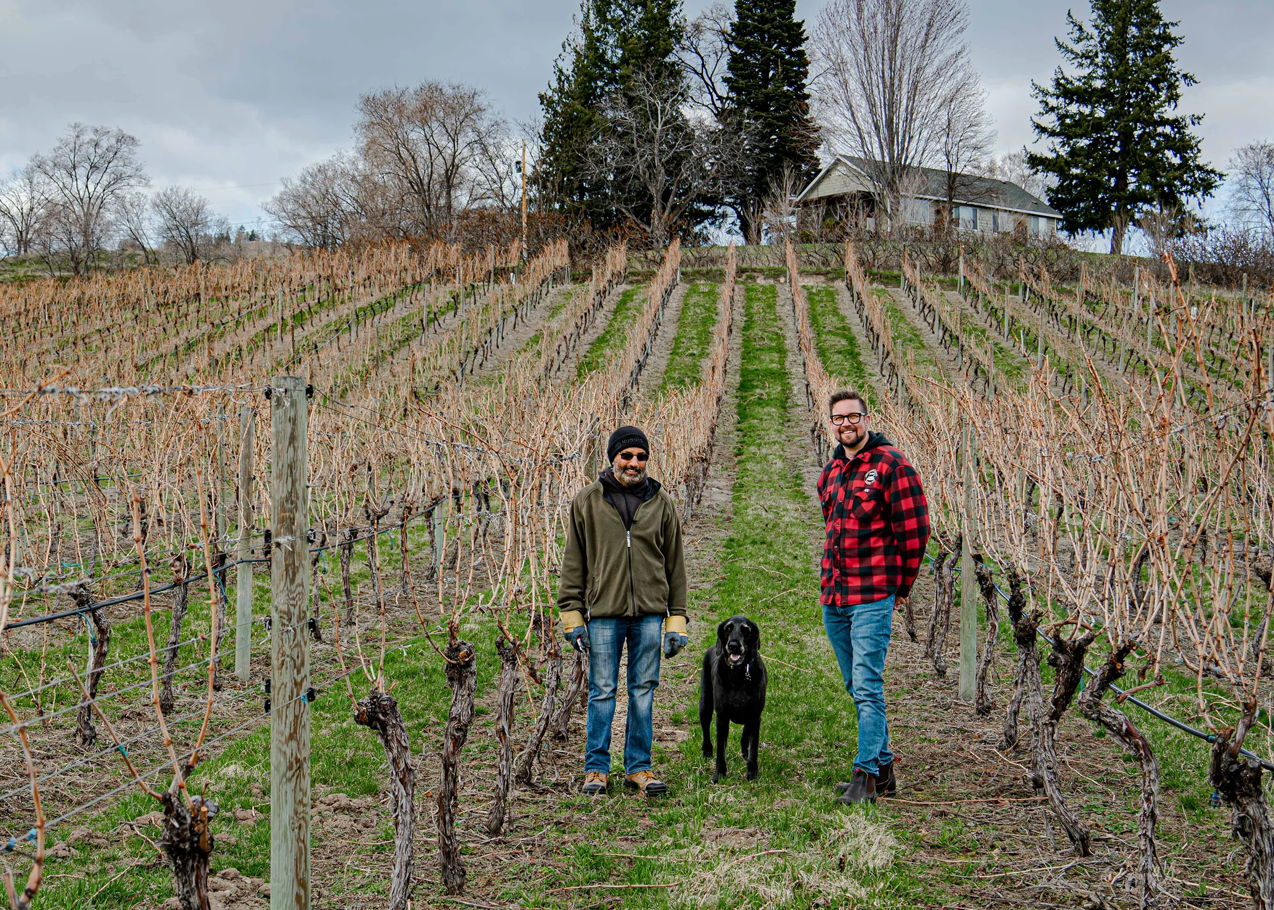 Mason in the vineyard with dog Odie