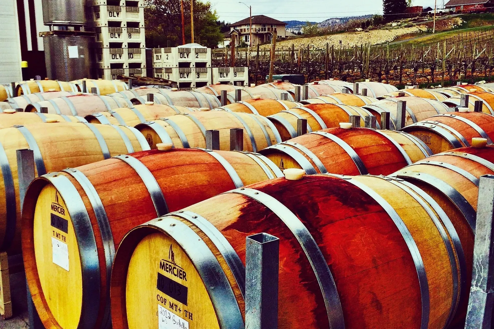 Dirty Laundry Wine barrels