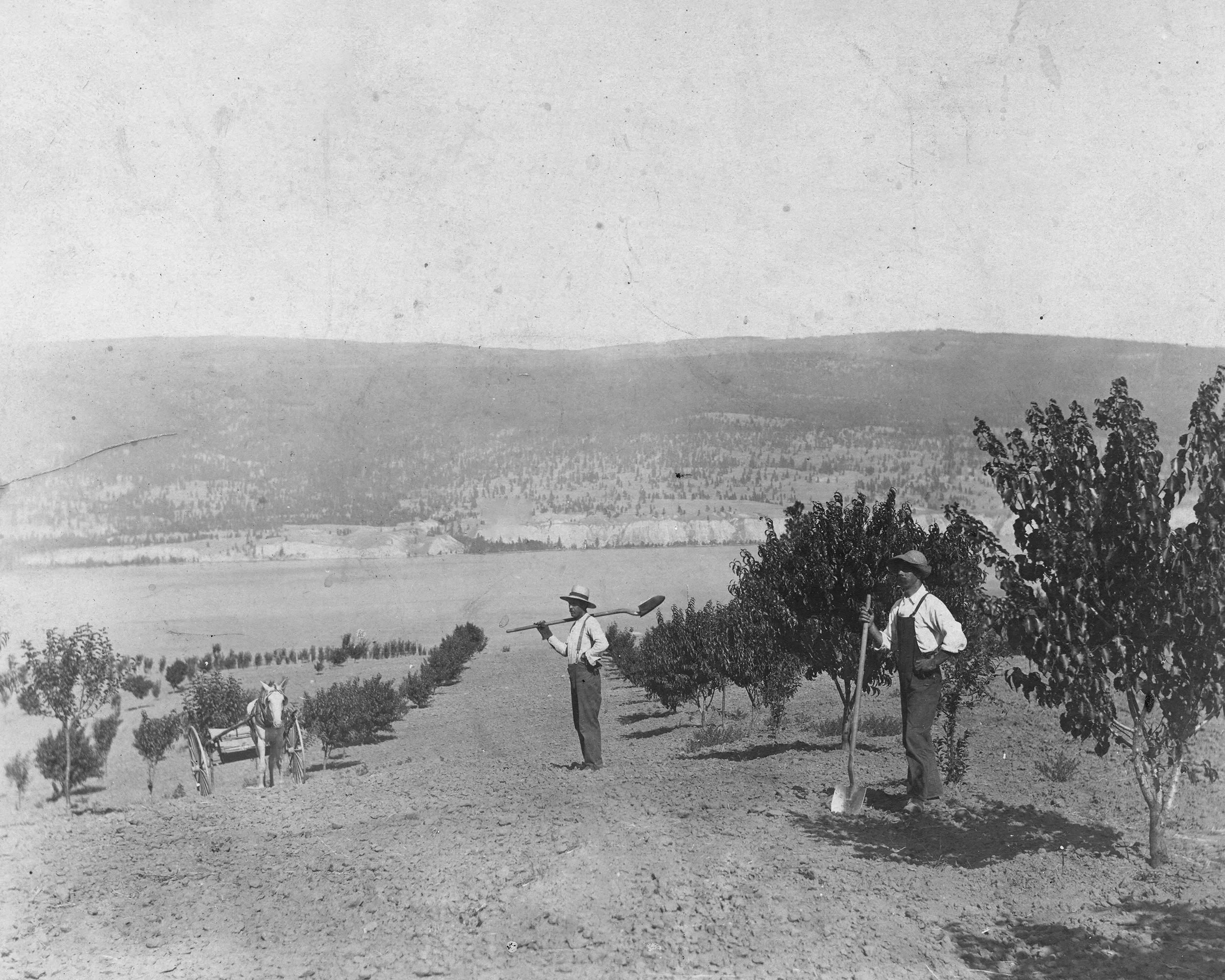 Historical images in Dirty Laundry property and surroundings